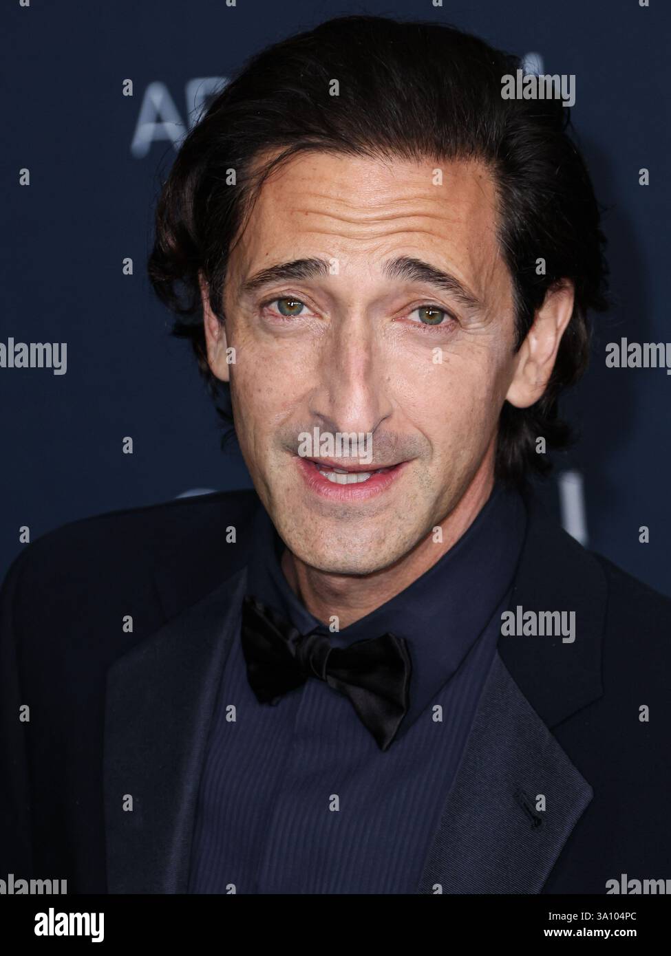 (FILE) Adrien Brody wins Oscar for Best Actor in a Leading Role for ...