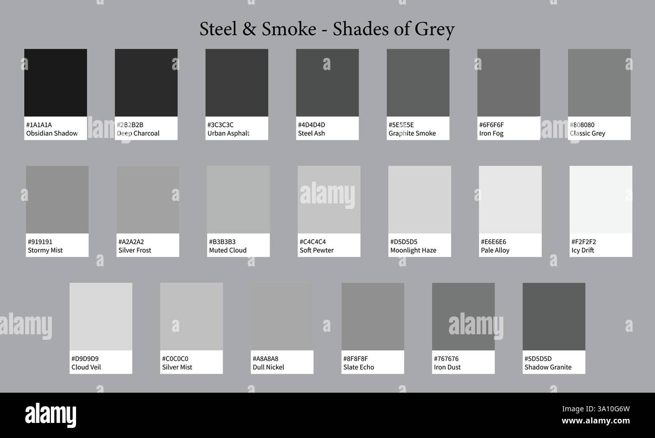 Color Palettes 20 Shades of Grey - Steel and Smoke Colors - with HEX Codes and Names, Colour Swatches and Combinations Stock Vector