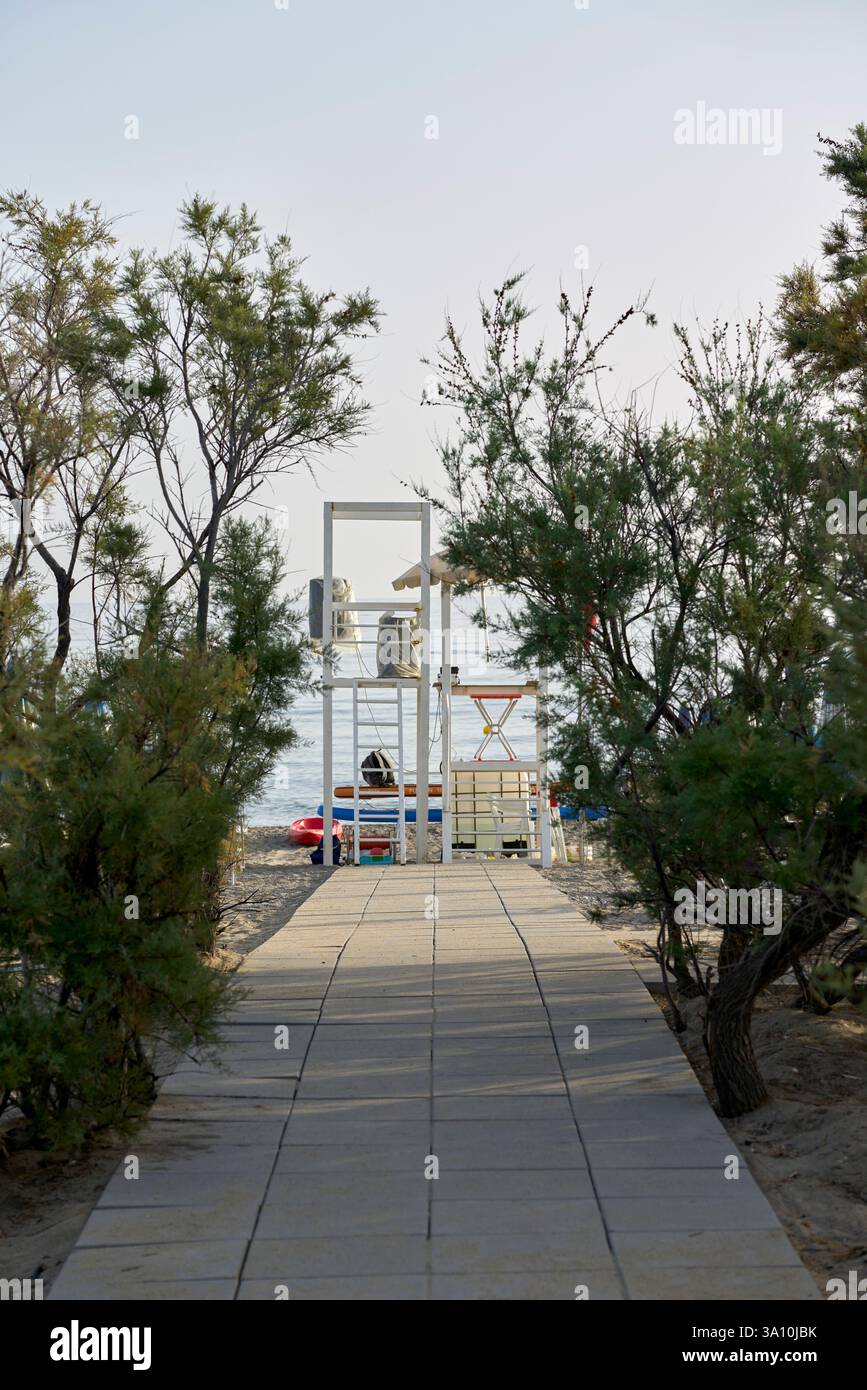 Sandy pathway surrounded trees hi-res stock photography and images - Alamy