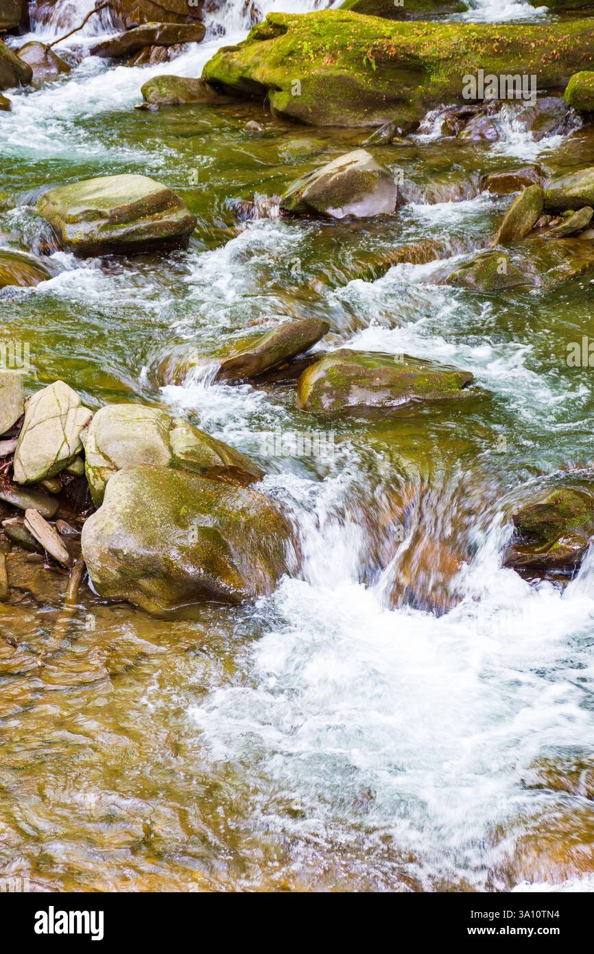 rapid water stream among rocks and stones. beautiful nature background in romanian mountains. closeup view from above Stock Photo
