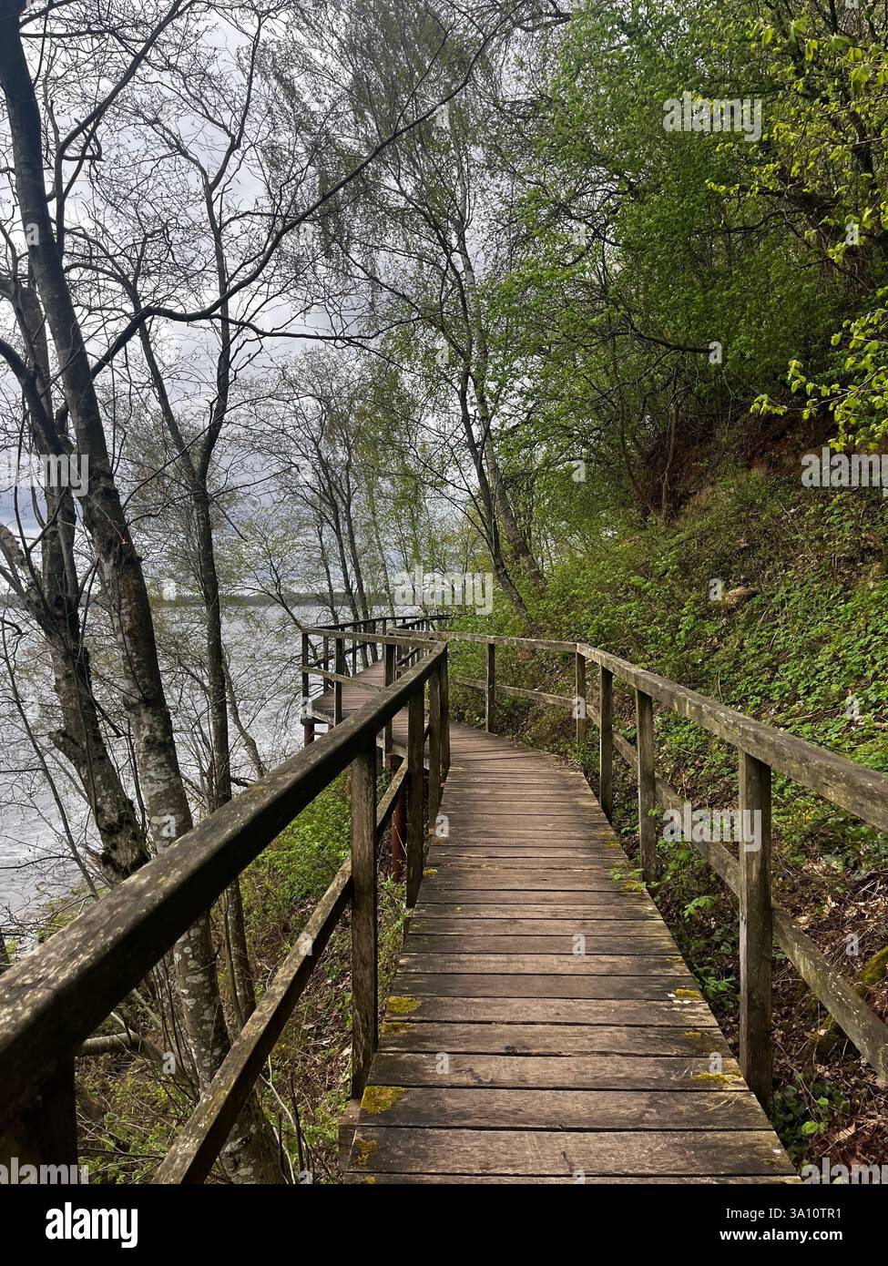 The image captures a steep cliff, with a rugged, winding hiking trail stretching along its side. - Smartphone Captured Stock Image