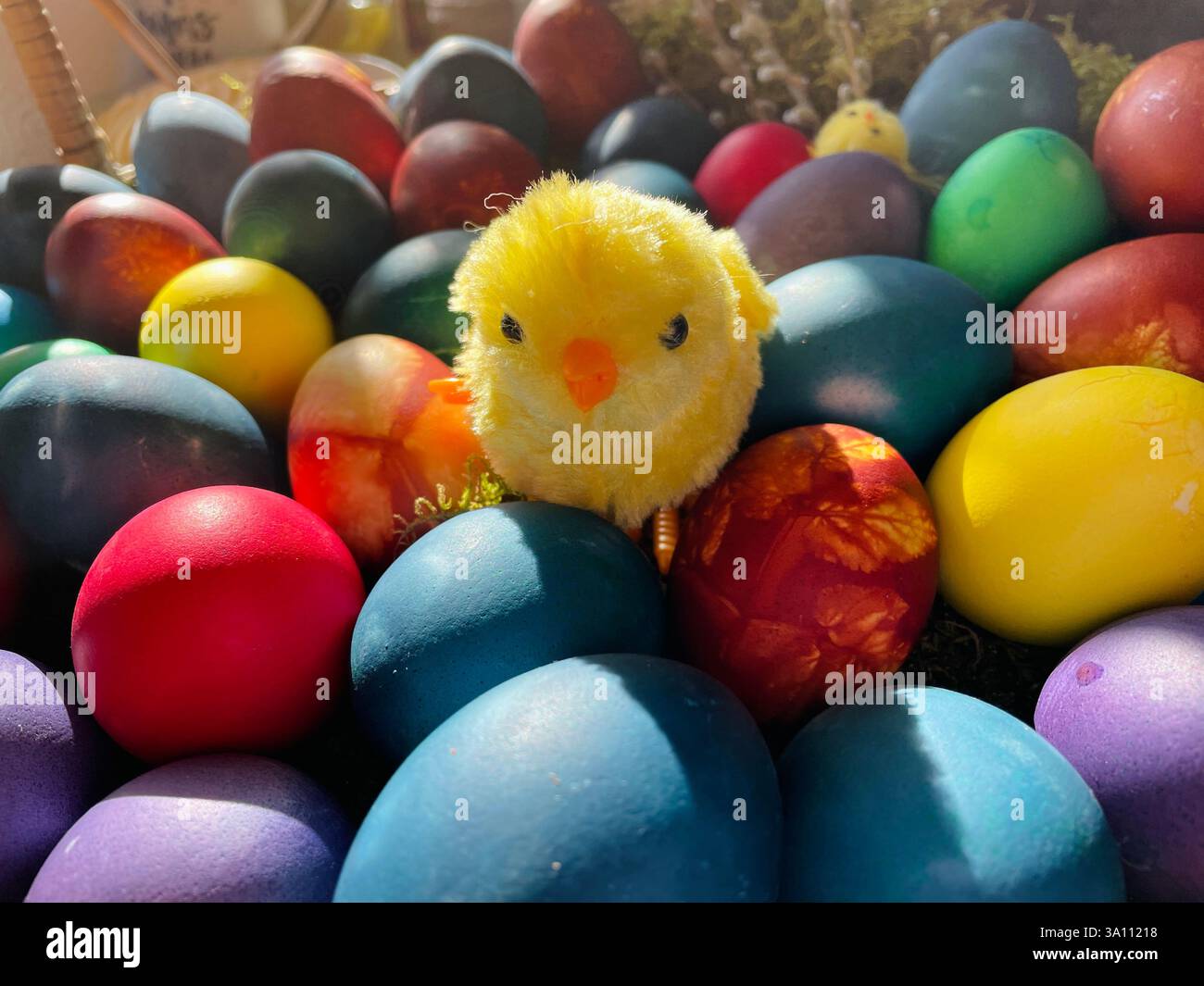 A close-up shot of a festive Easter display featuring colorful eggs and a fluffy yellow chick, evoking springtime. - Smartphone Captured Stock Image