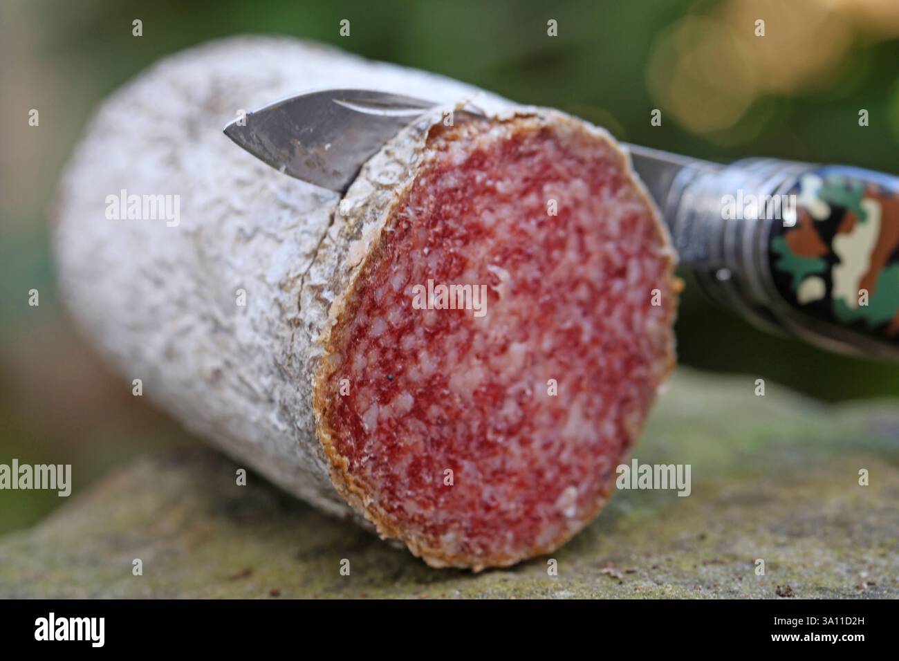 Fleischprodukte zur Nahrungsmittelgewinnung Deftige und harte Salami ...