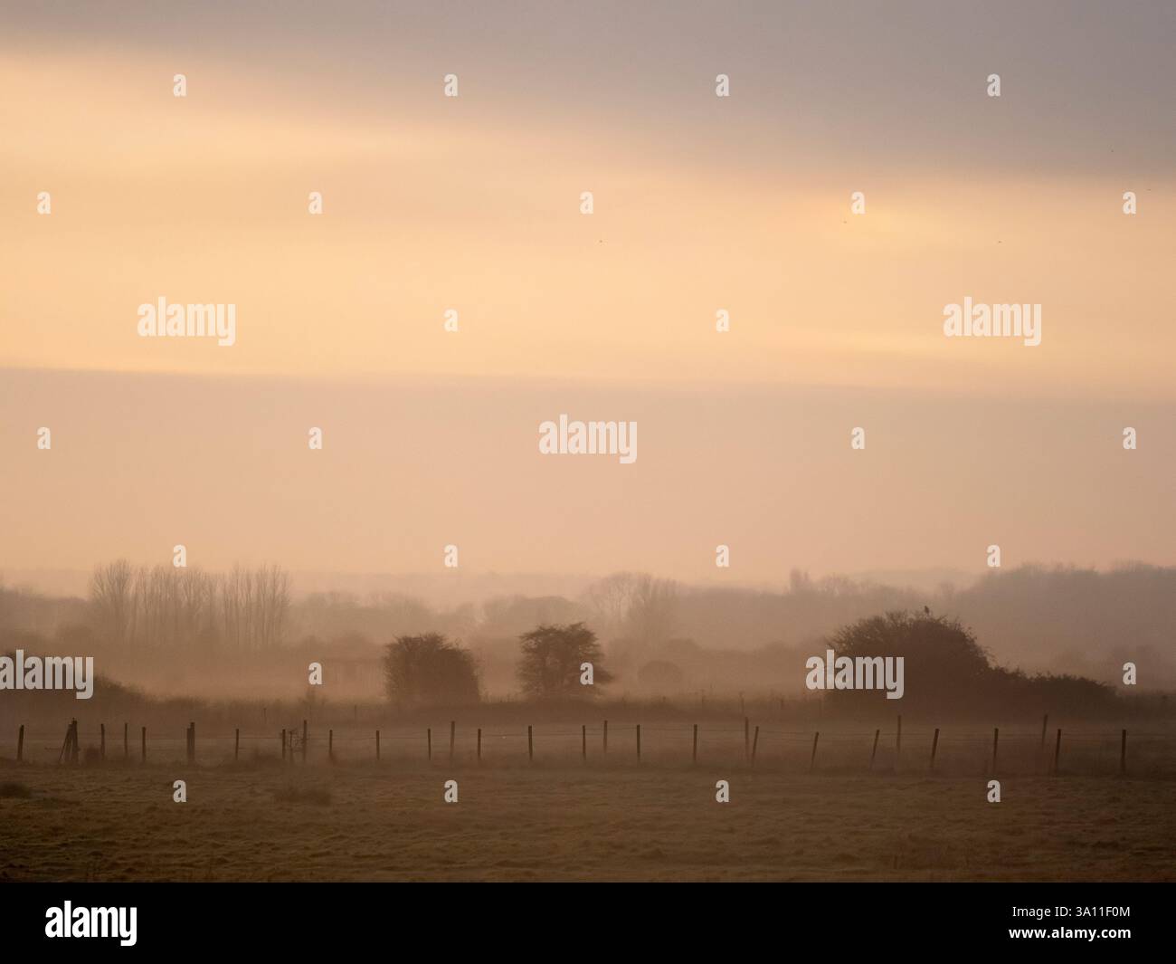 Sunset orange sky, farmland landscape, Sandwich Bay, Kent, UK, winter Stock Photo