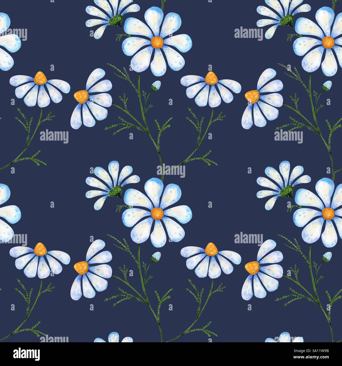 Seamless watercolor pattern with wild chamomile flowers on a dark blue ...