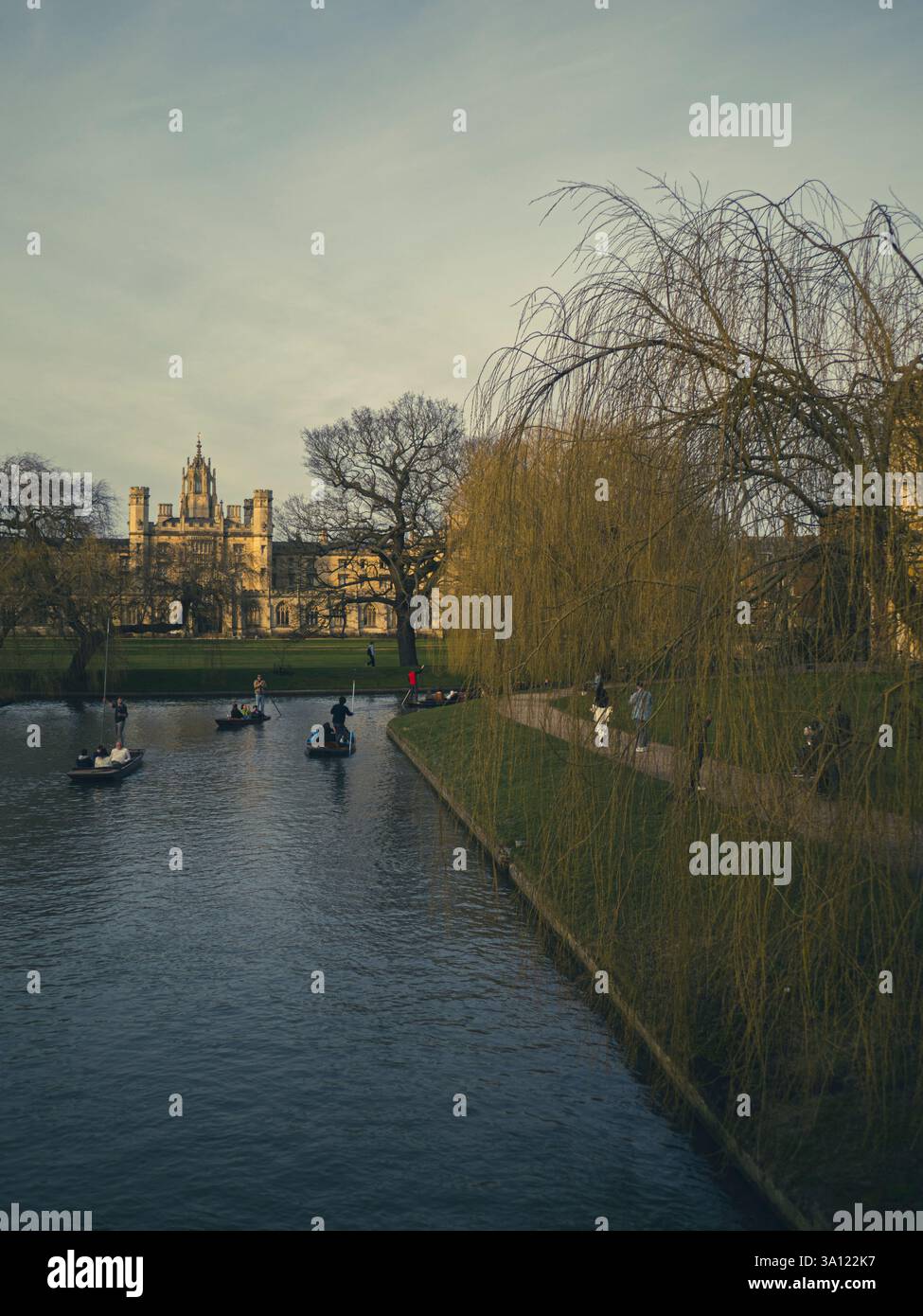 Evening Punting on the River Cam, St Johns College, University of Cambridge, Cambridge, Cambridgeshire, England, UK, GB. Stock Photo