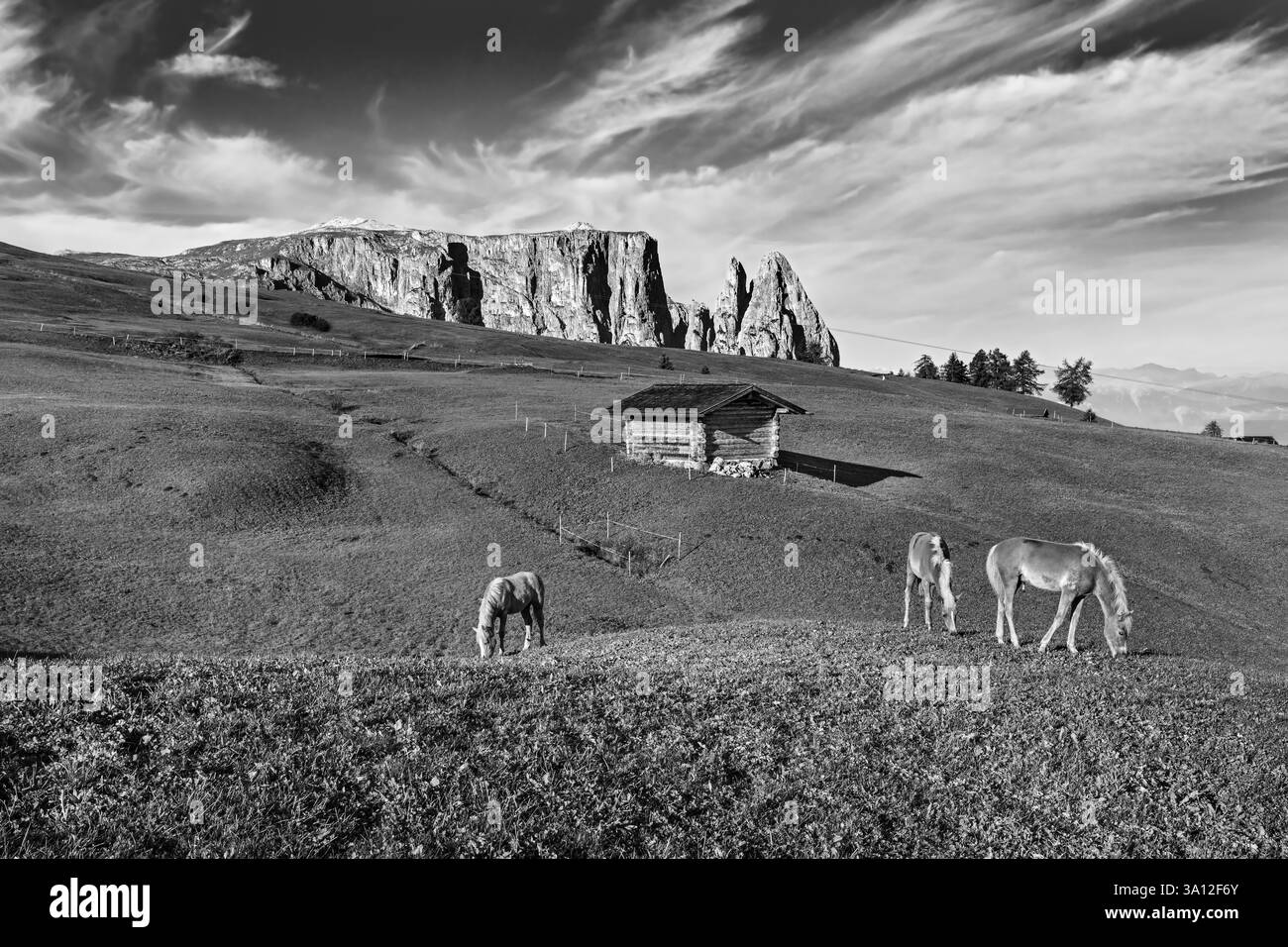 famous-alpe-di-siusi-seiser-alm-with-sassolungo-langkofel-mountain-group-in-background-at-sunset-wooden-chalets-in-dolomites-trentino-alto-adige-3A12F6Y.jpg