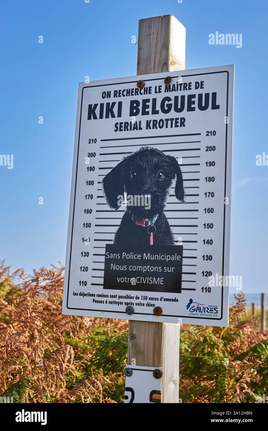 France, Morbihan, Gavres, Dog dejection Panel Stock Photo