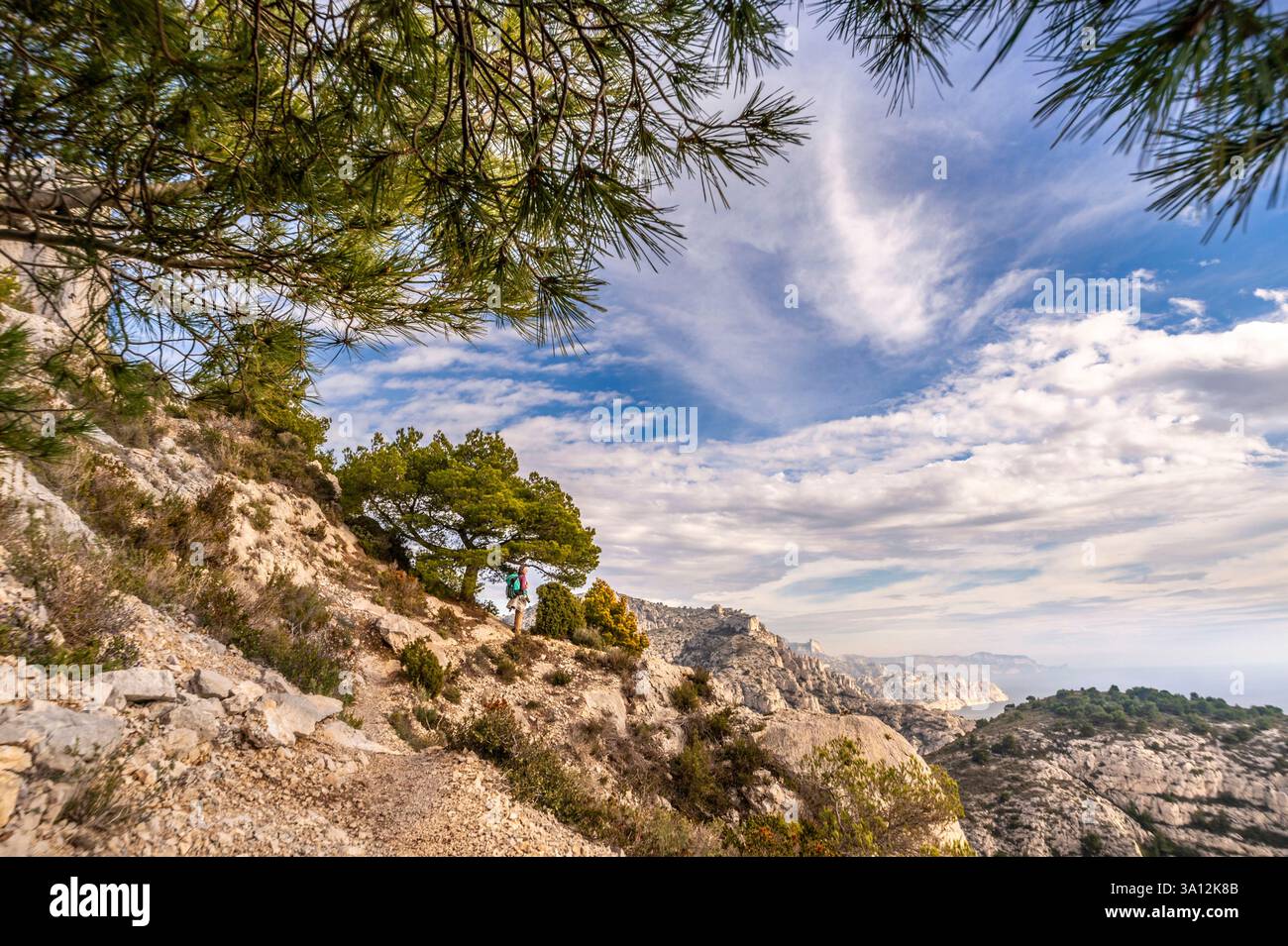 France, Bouches-du-Rhône (13), Calanques National Park, Marseille, path ...