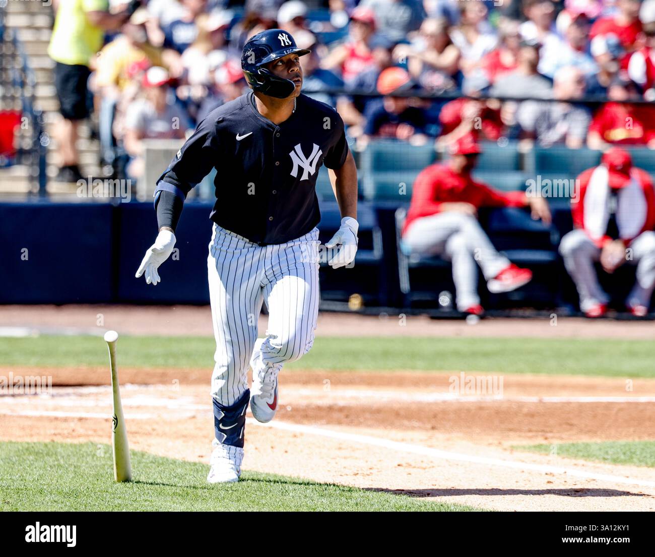 New York Yankees infielder Dominic Smith fields drops his bat after ...