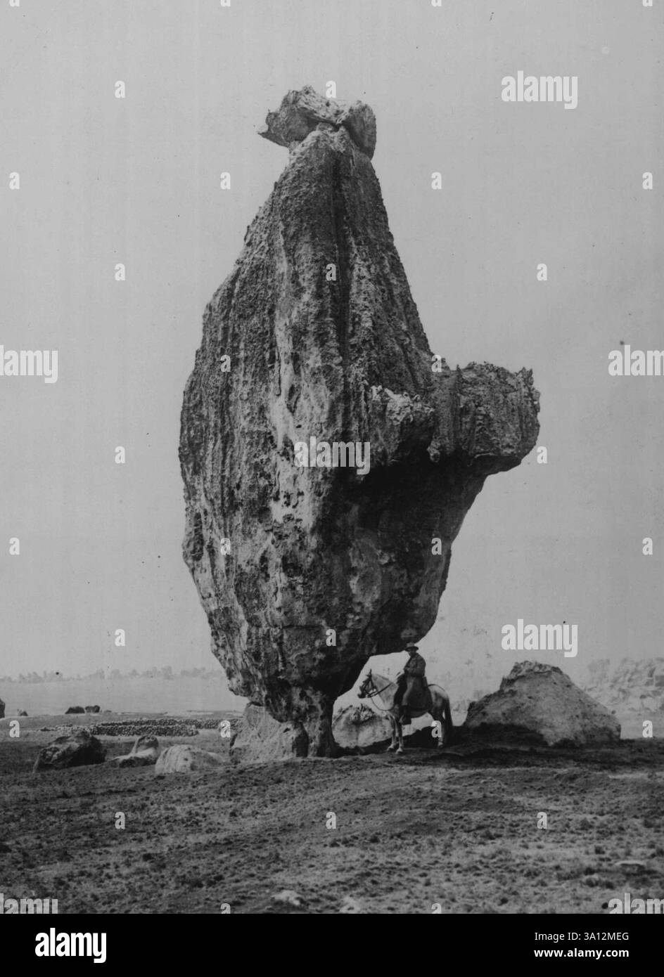 Examples Of Nature's Handicraft -- In the rock forest of Peru, shows ...