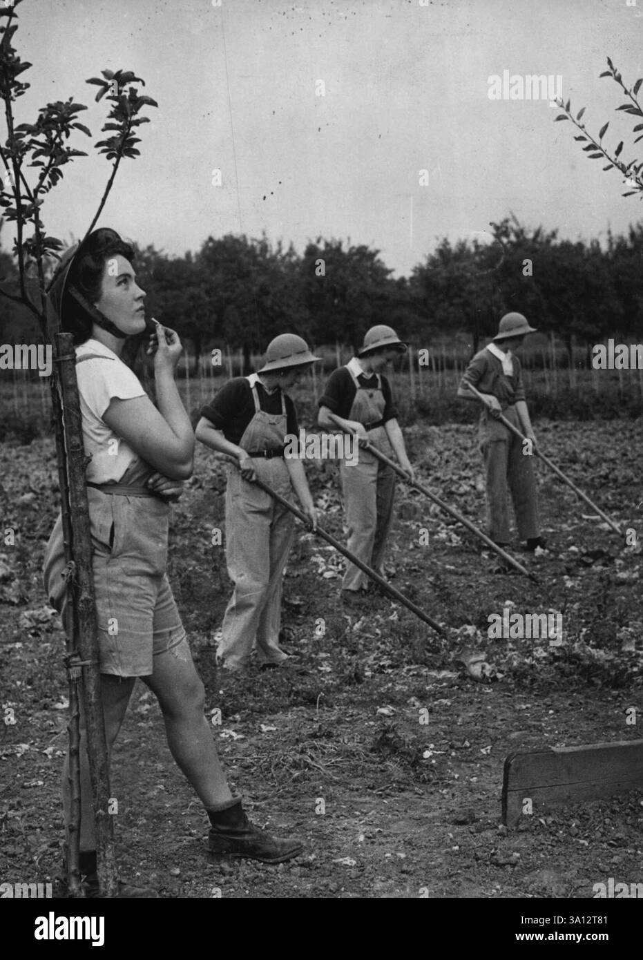 Land Girls Cary On In Spite Of The Buzz Bombs - On The Watch!. Miss Vera Crouch (nearest camera) about to blow her spotters whistle warning the girls that a buzz-bomb is approaching.Taken in Surrey these pictures show how girls of the Womens Land Army carry out their duties in spite of the buzz-bombs coming over. November 5, 1944. (Photo by L.N.A.) Stock Photo