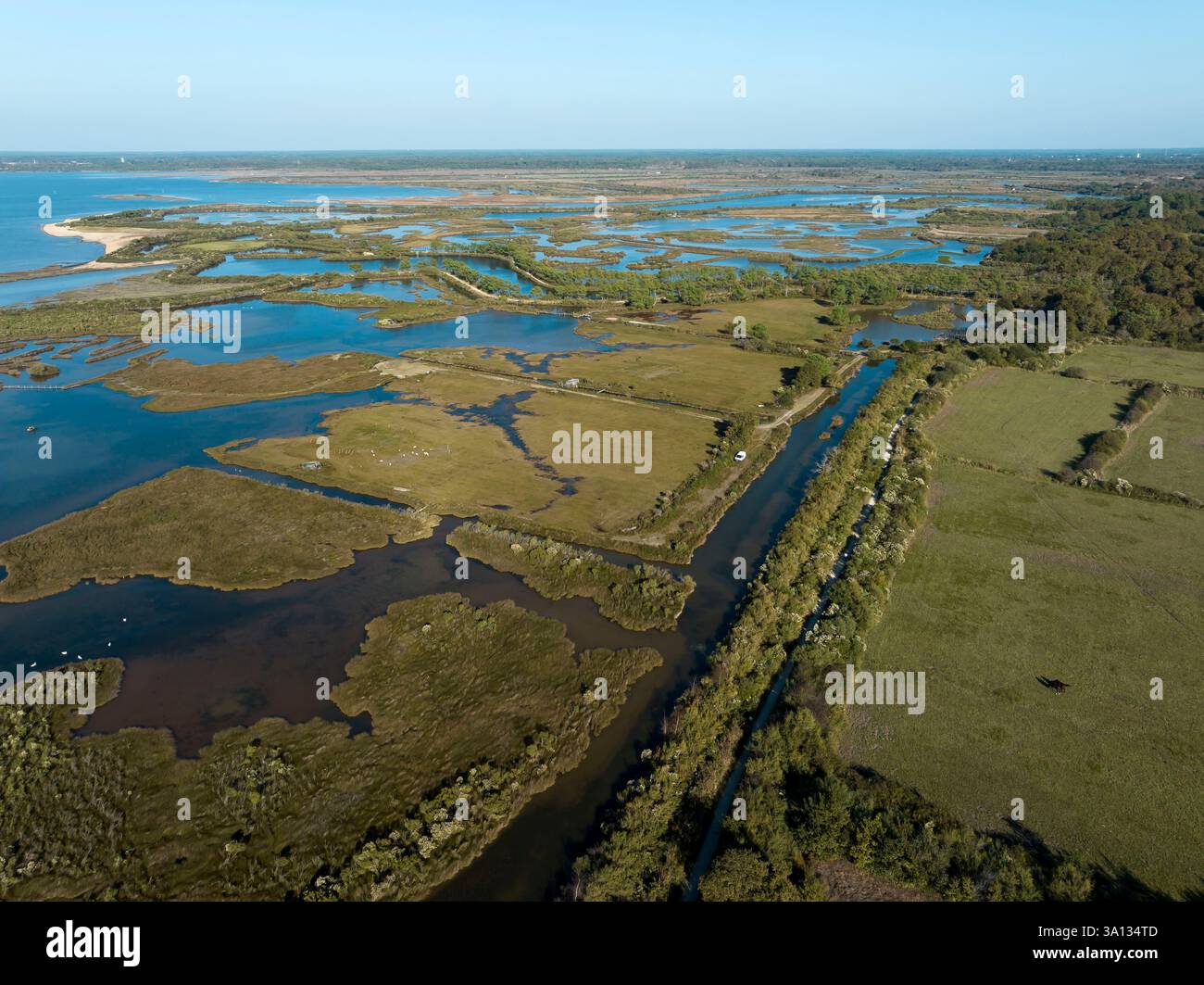 France, Gironde, Bassin d'Arcachon, Le Teich, Teich ornithological reserve (aerial view) Stock Photo