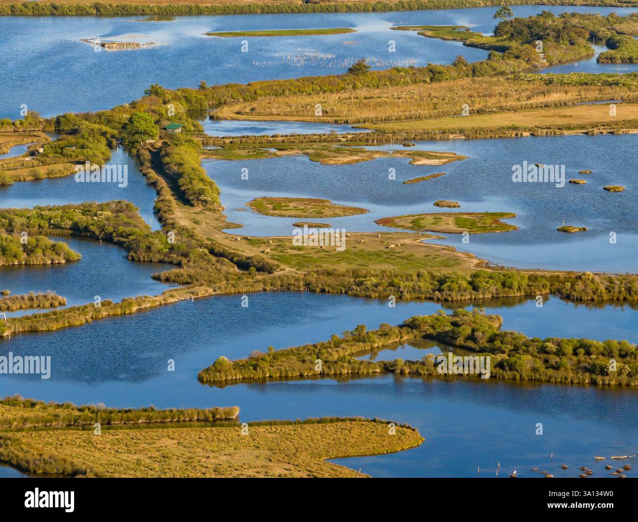 France, Gironde, Bassin d'Arcachon, Le Teich, Teich ornithological reserve (aerial view) Stock Photo