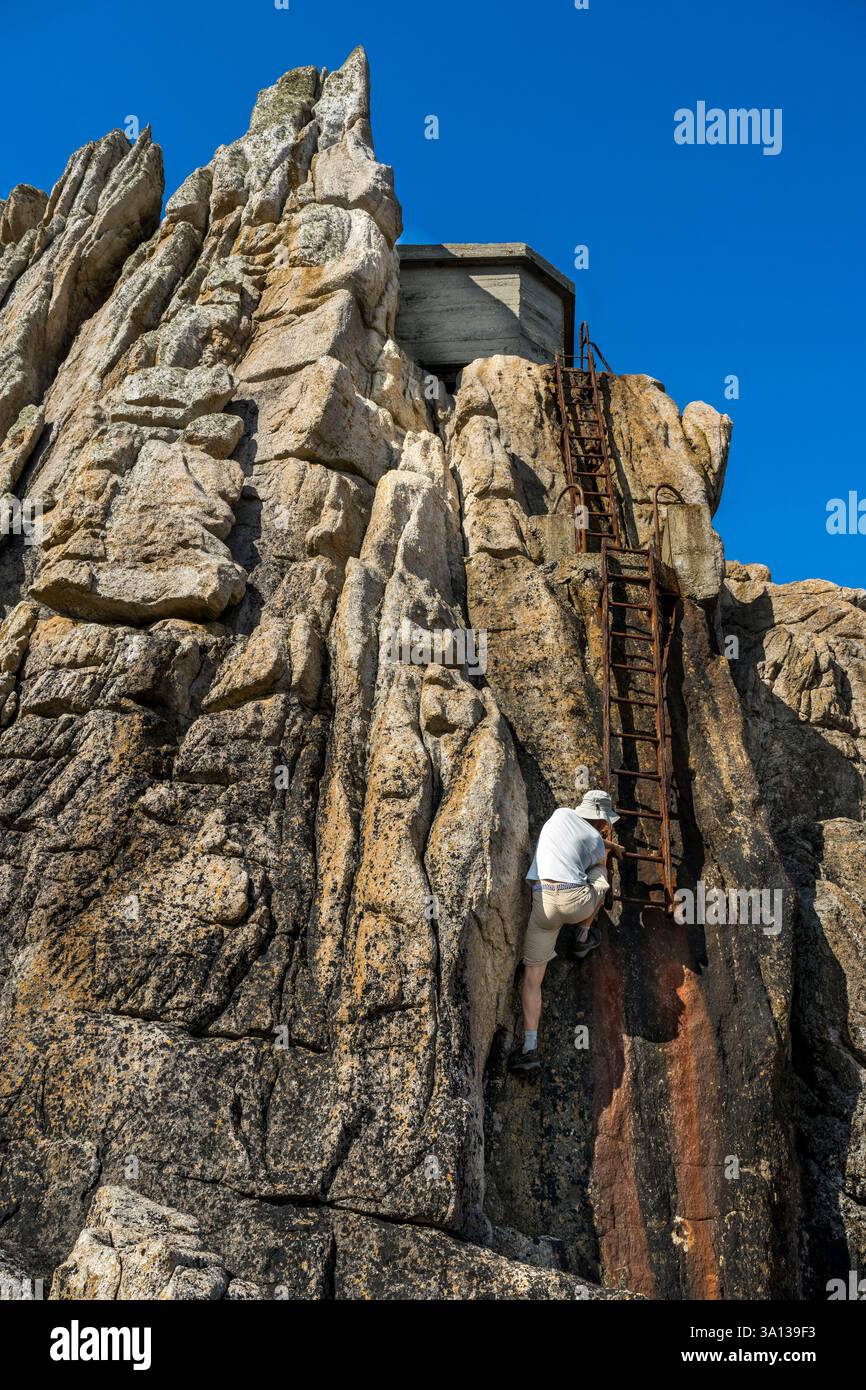 Natural  Buildings「The Ladder」 美麗装丁 Safeframe