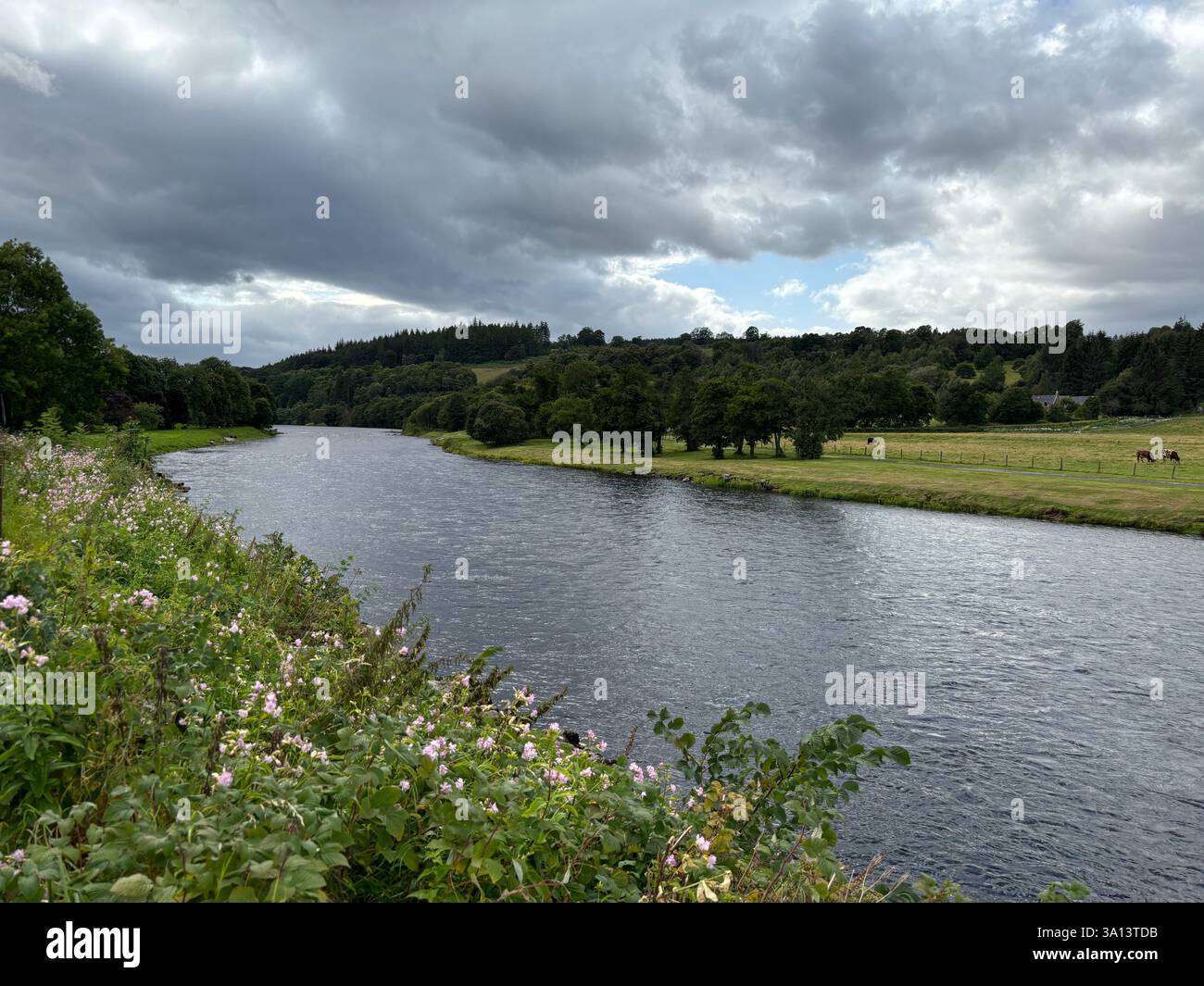 The great river Spey at Aberlour. Famous Scottish salmon fishing river in the Highlands of Scotland. - Smartphone Captured Stock Image
