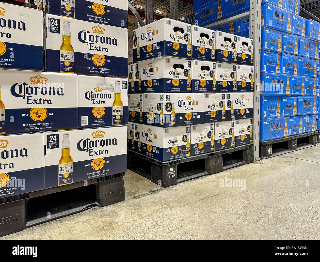 Corona extra beer in a Sam's Club store. Merrillville, IN USA March 6, 2025 - Smartphone Captured Stock Image