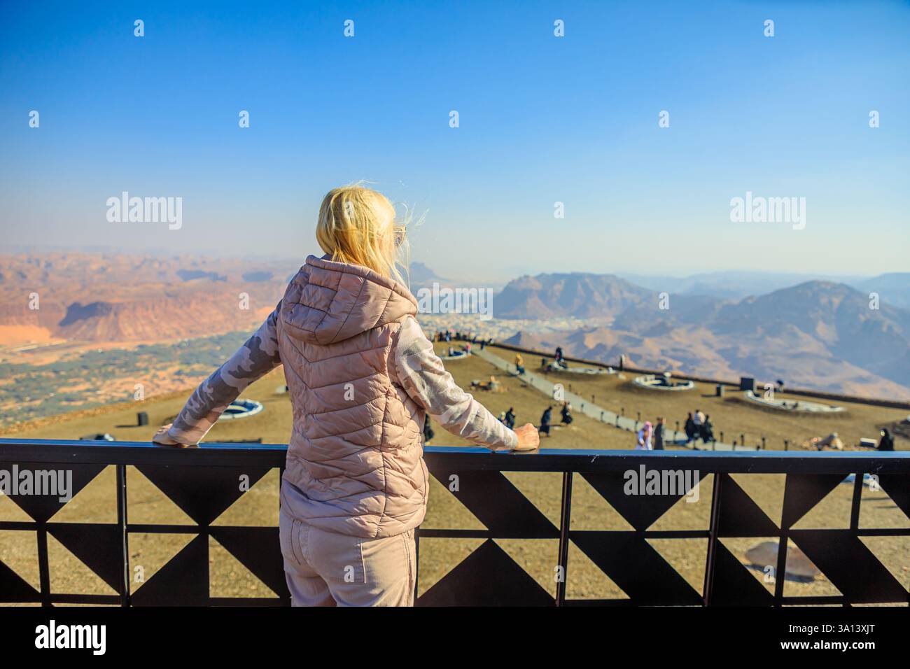 Desert oasis aerial hi-res stock photography and images - Alamy