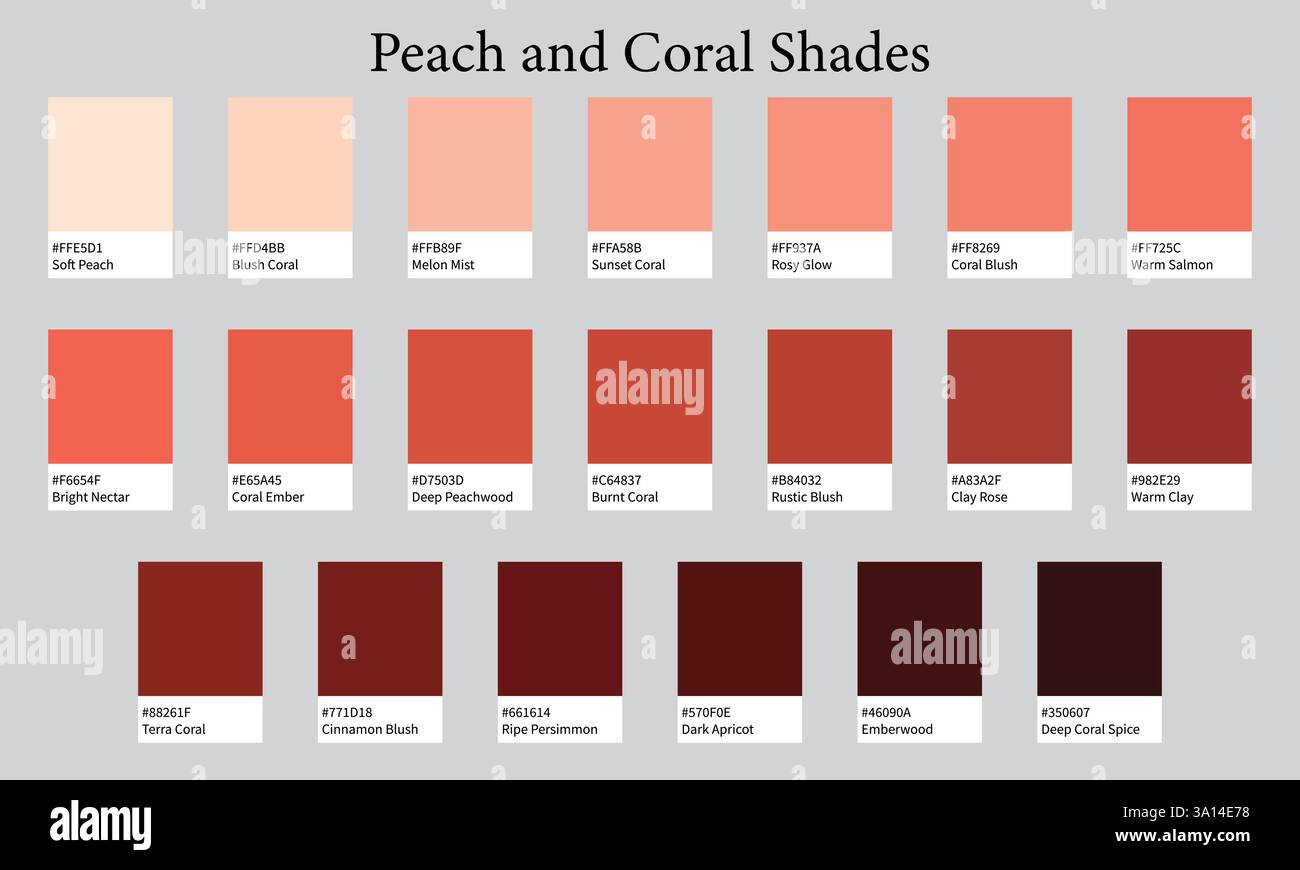 Color Palette 20 Shades Of Peach And Coral Warm Delicate Soft 