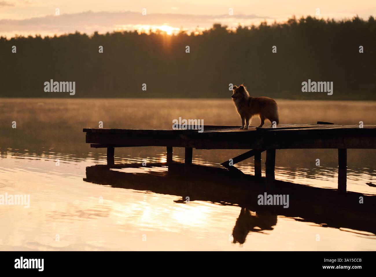 Tranquil lake sunset reflects hi-res stock photography and images - Alamy