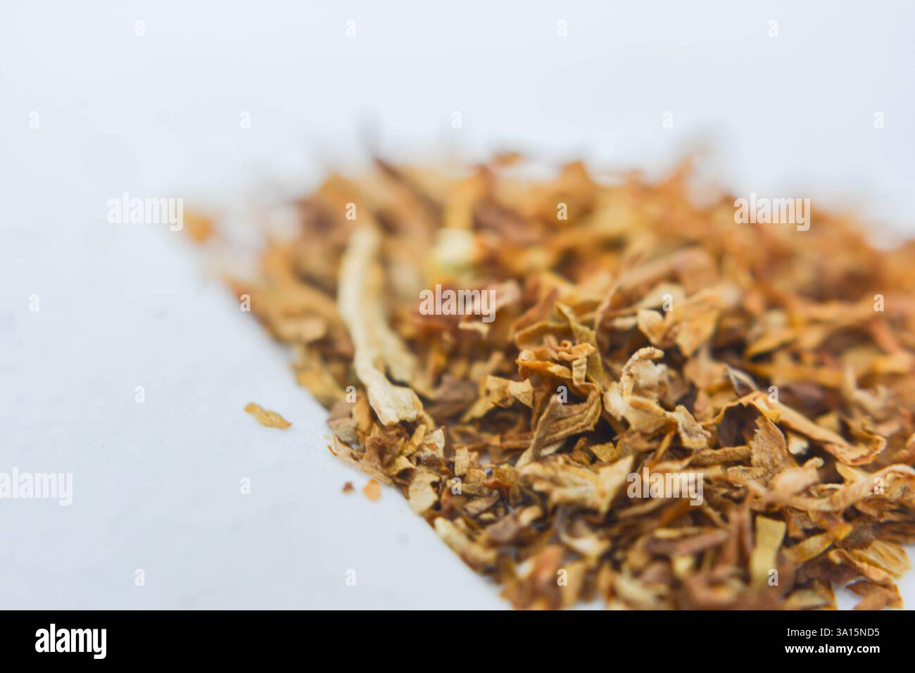 tobacco paan shop near me TOP 10 BEST Paan Shop in Seattle, WA - Updated 2026