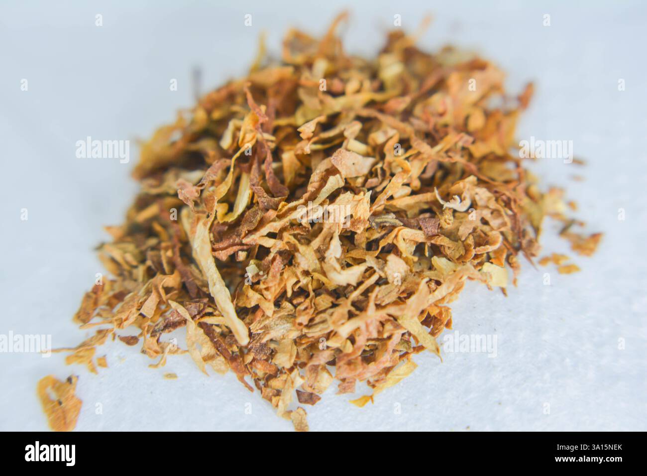 Dried tobacco leaves hi-res stock photography and images