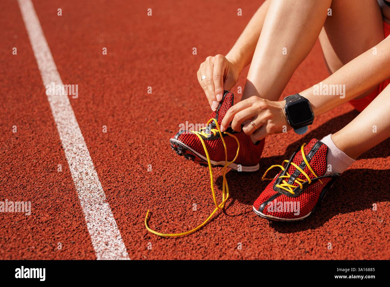 View of Taj Mahal, Peach Tie Sweep Laurel Stakes for Russells