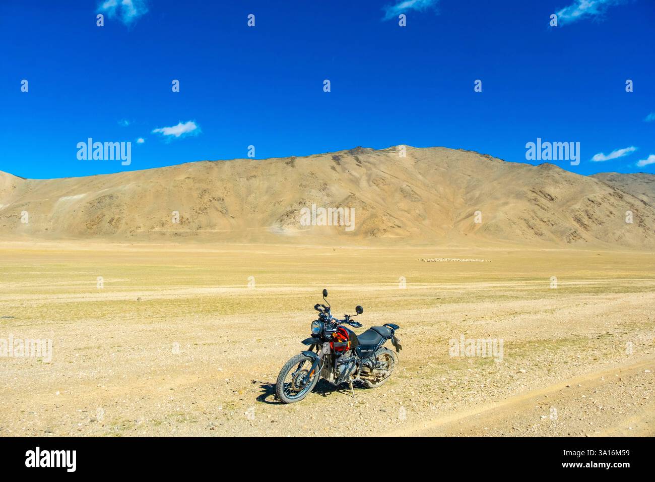 India, Ladakh state, Trans-Himalayan, motorbike tour on Royal enfield between Tso Khar Lake and Jispa, Off-Piste or Off Road around Tso Khar Lake Stock Photo