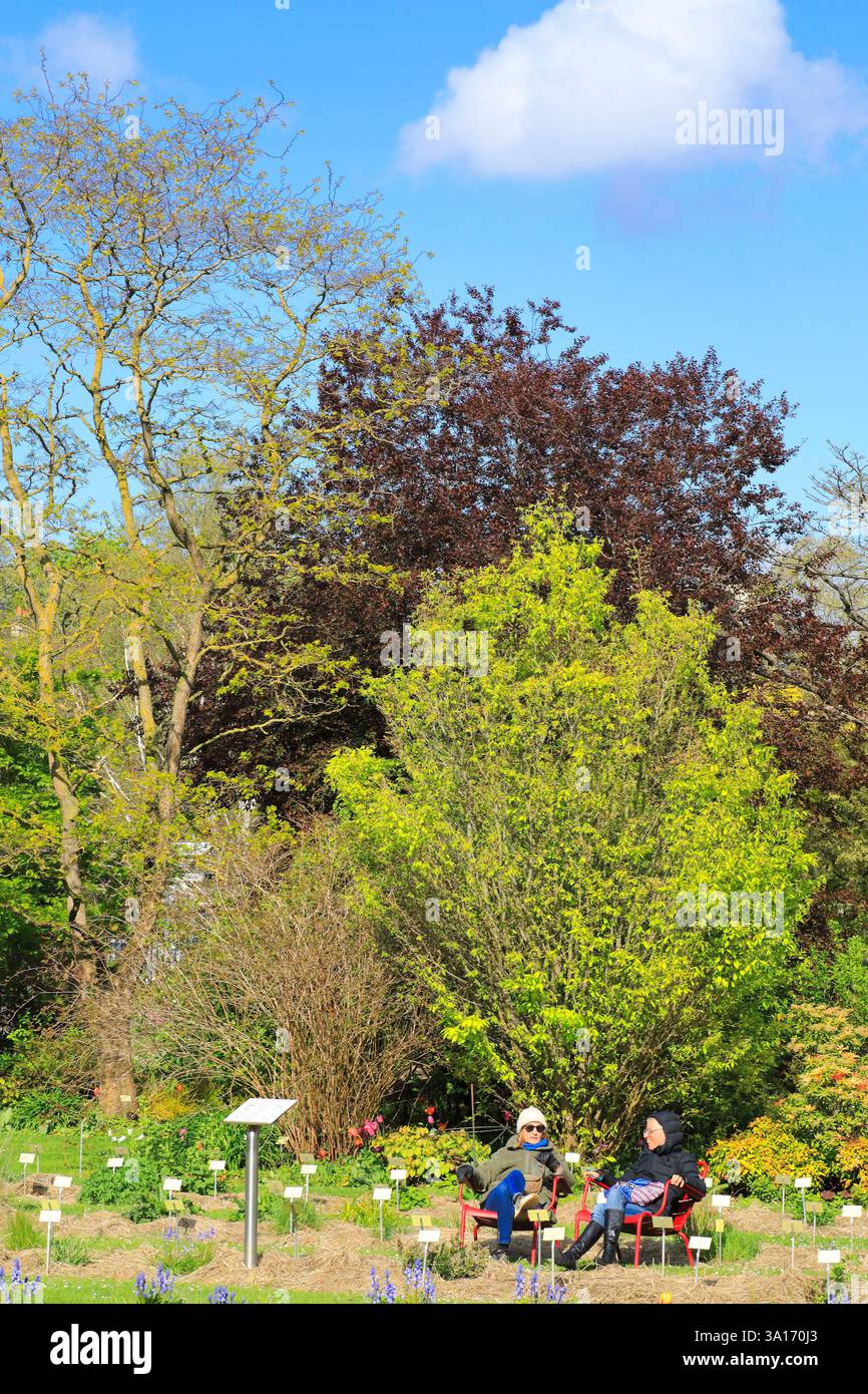 fraisier plante Fraisier Blanche Des Bois Bio – La Ferme de Sainte Marthe main image 0
