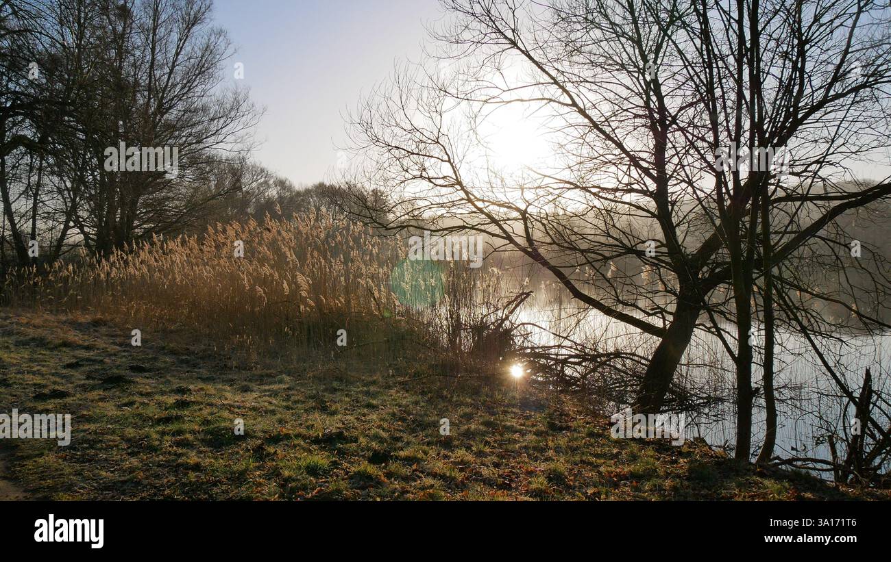 Mood of the nature hi-res stock photography and images - Alamy