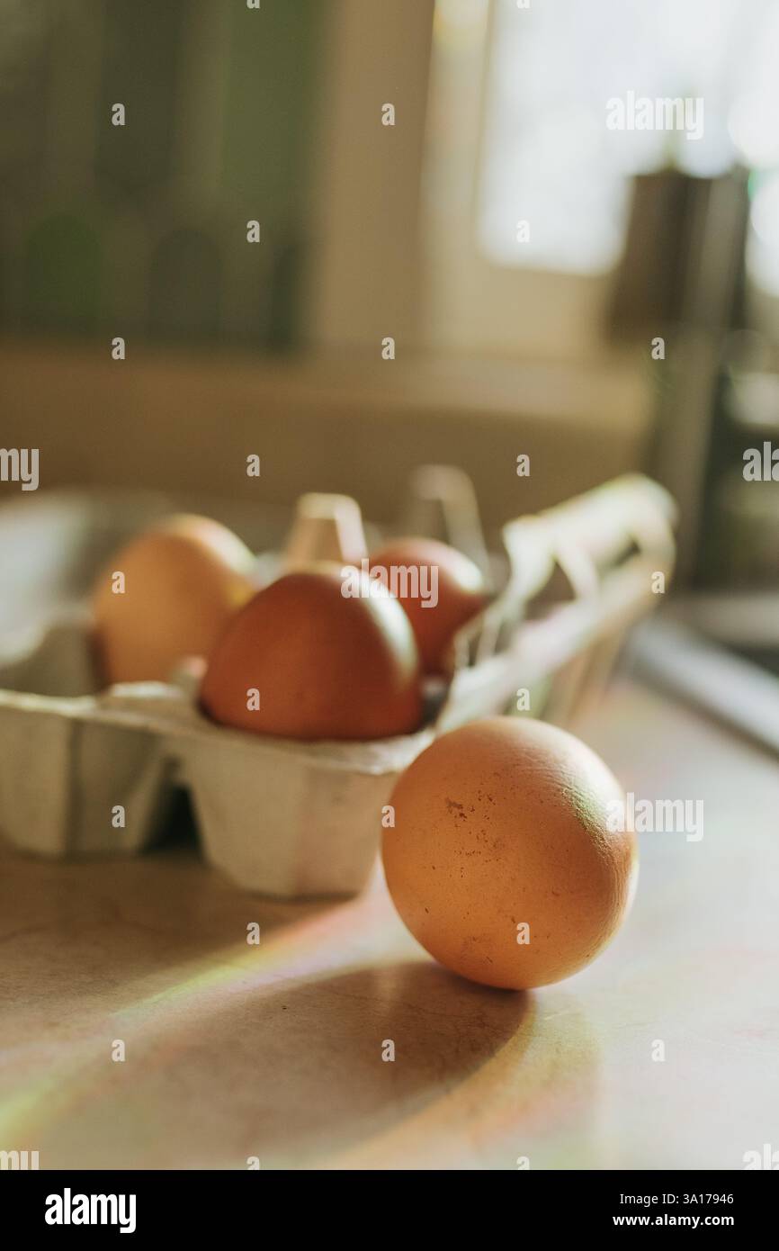 Rainbows shine down on four brown eggs sitting on counter Stock Photo