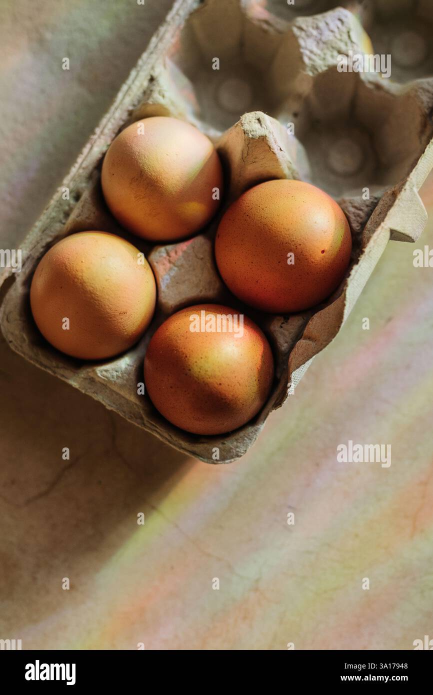 Rainbows shine down on four brown eggs in open egg carton Stock Photo