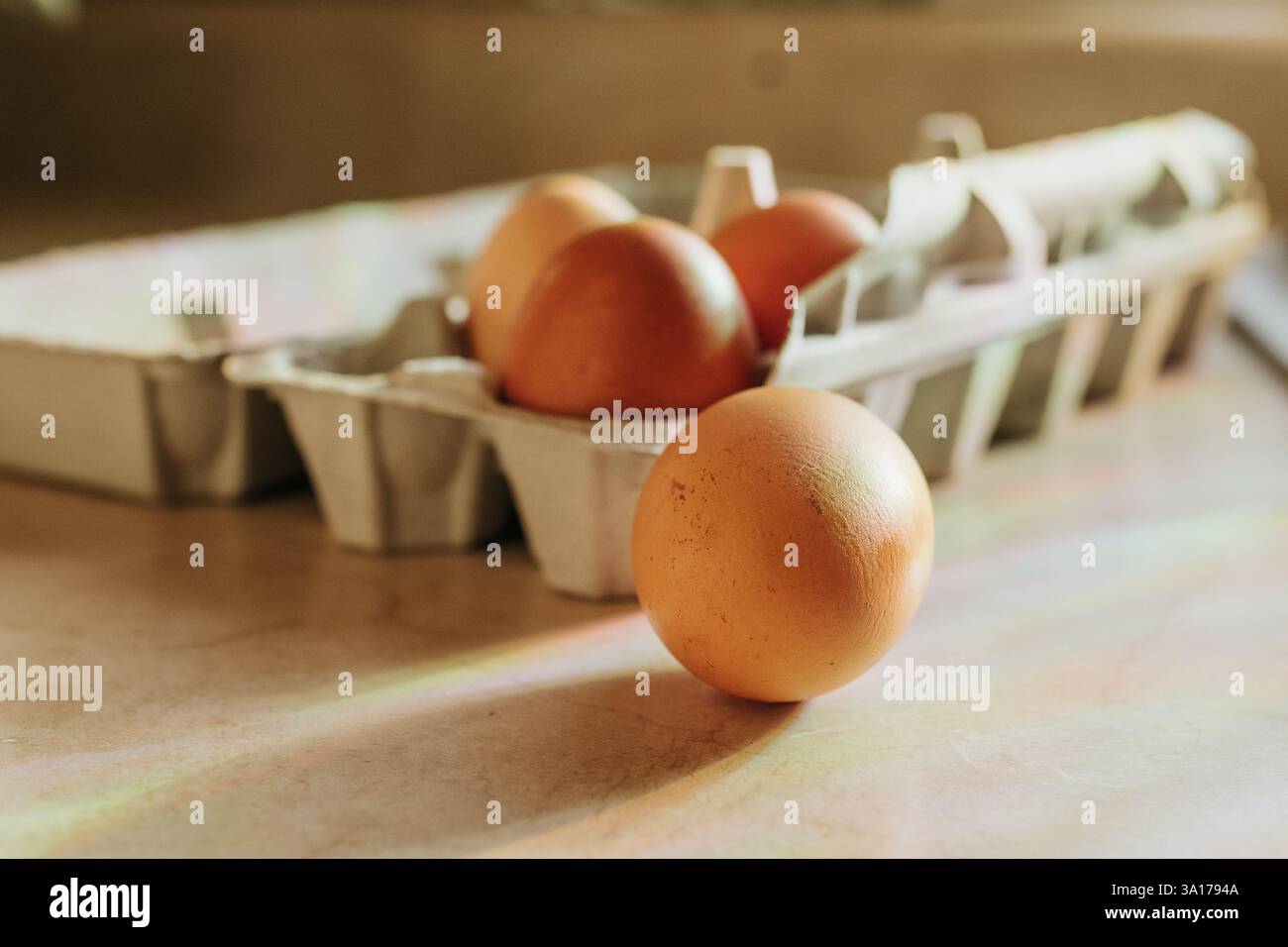 Rainbows shine down on four brown eggs sitting on counter Stock Photo