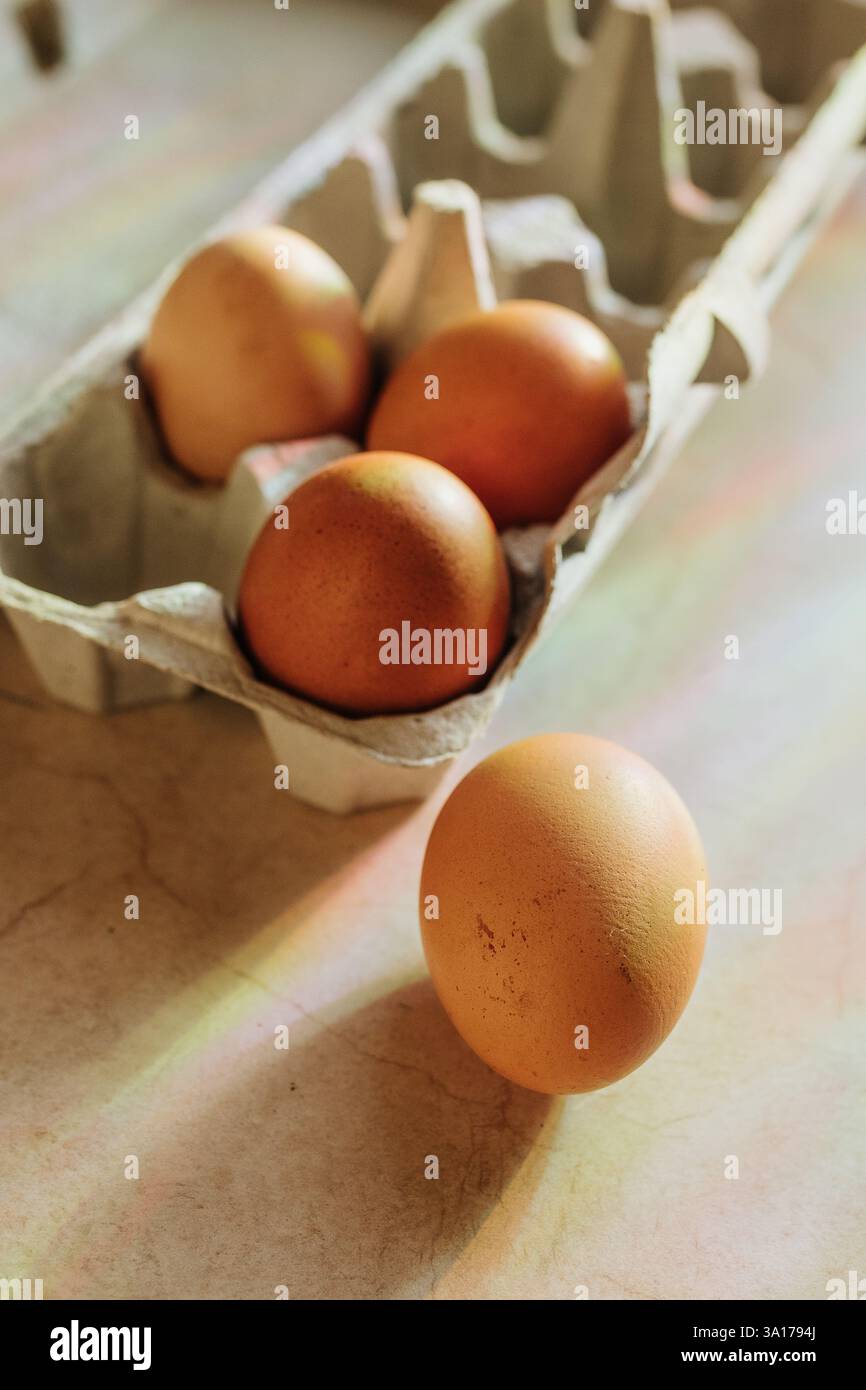 Rainbows shine down on four brown eggs sitting on counter Stock Photo