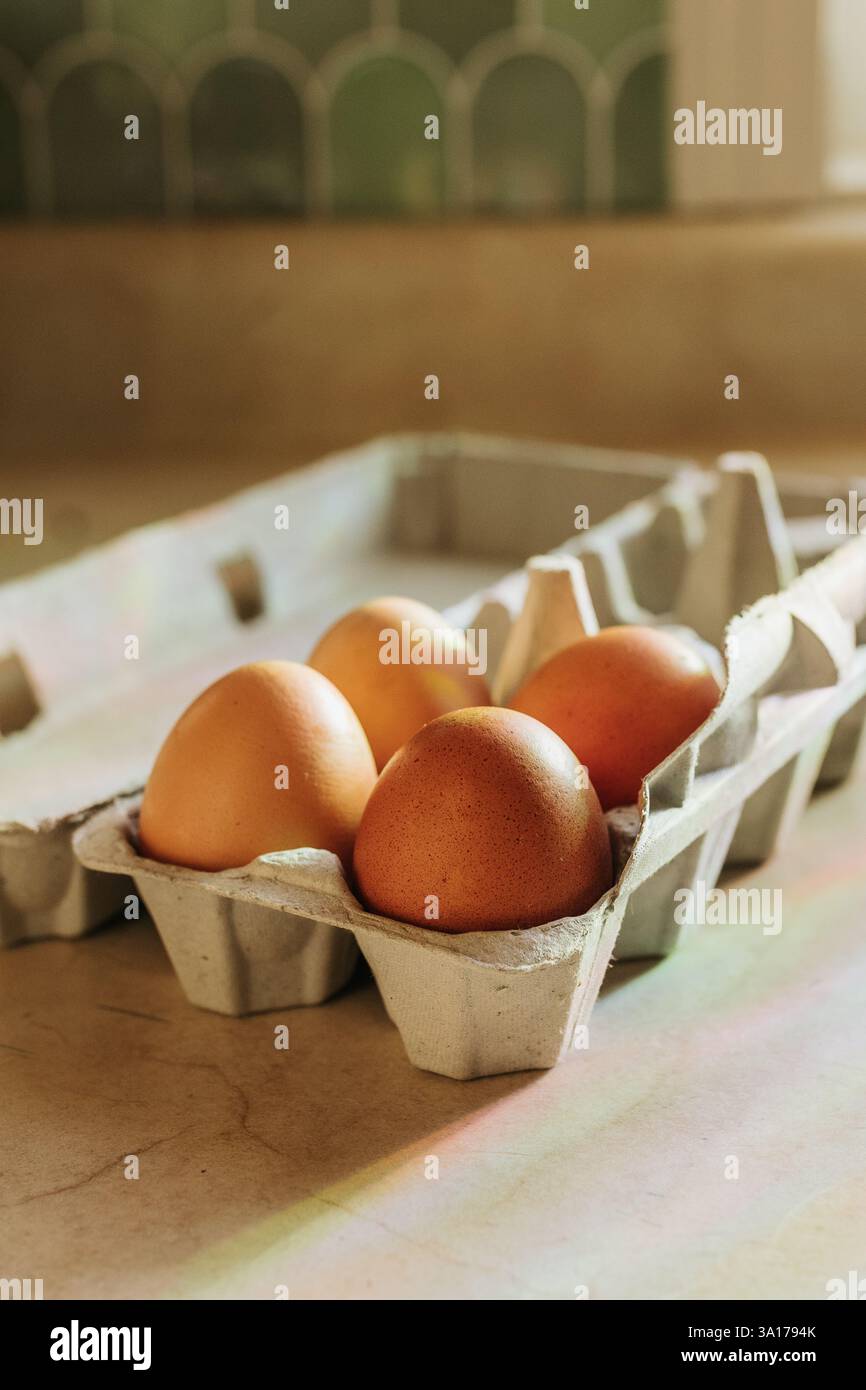 Rainbows shine down on four brown eggs sitting on counter Stock Photo