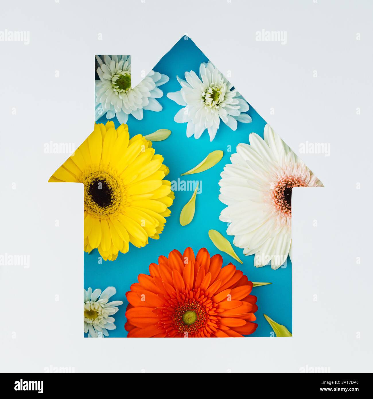 Eco summer layout hi-res stock photography and images - Alamy