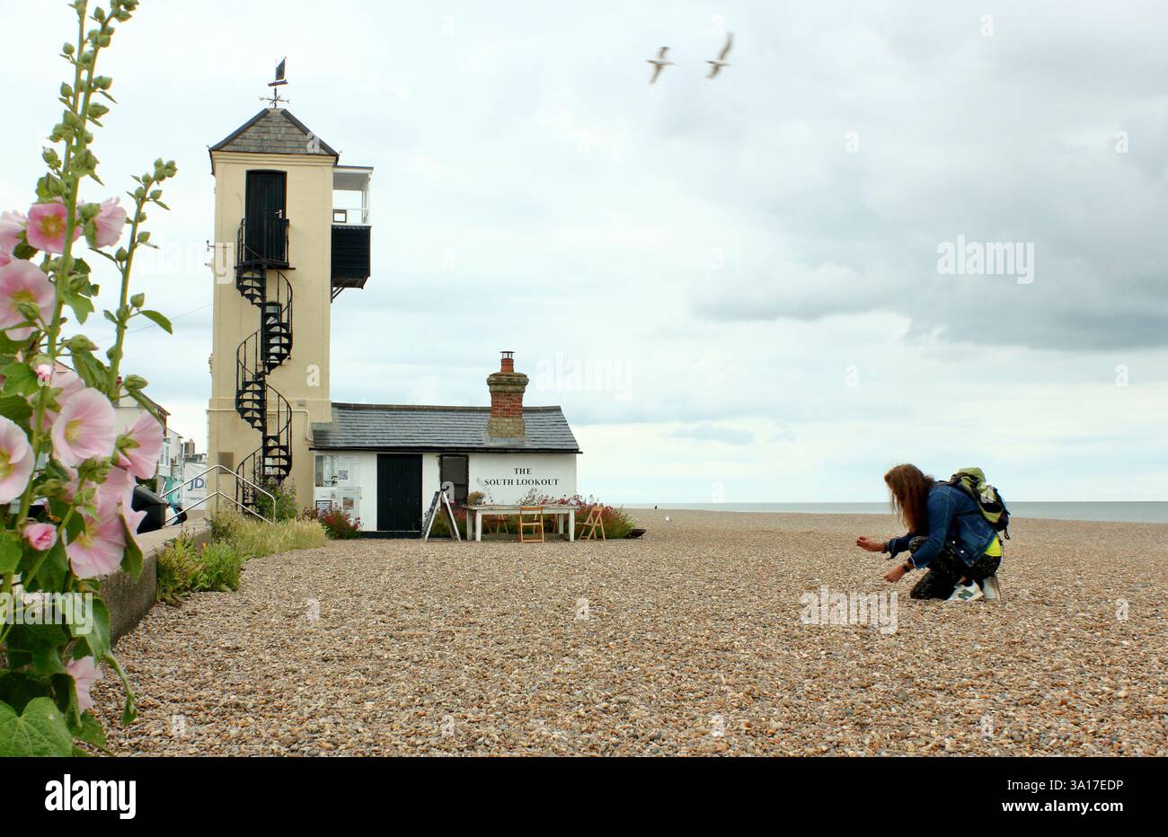 Woman beach combing on Aldeburgh shingle beach near Aldeburgh Beach Lookout, Aldeburgh, Suffolk, UK. Stock Photo