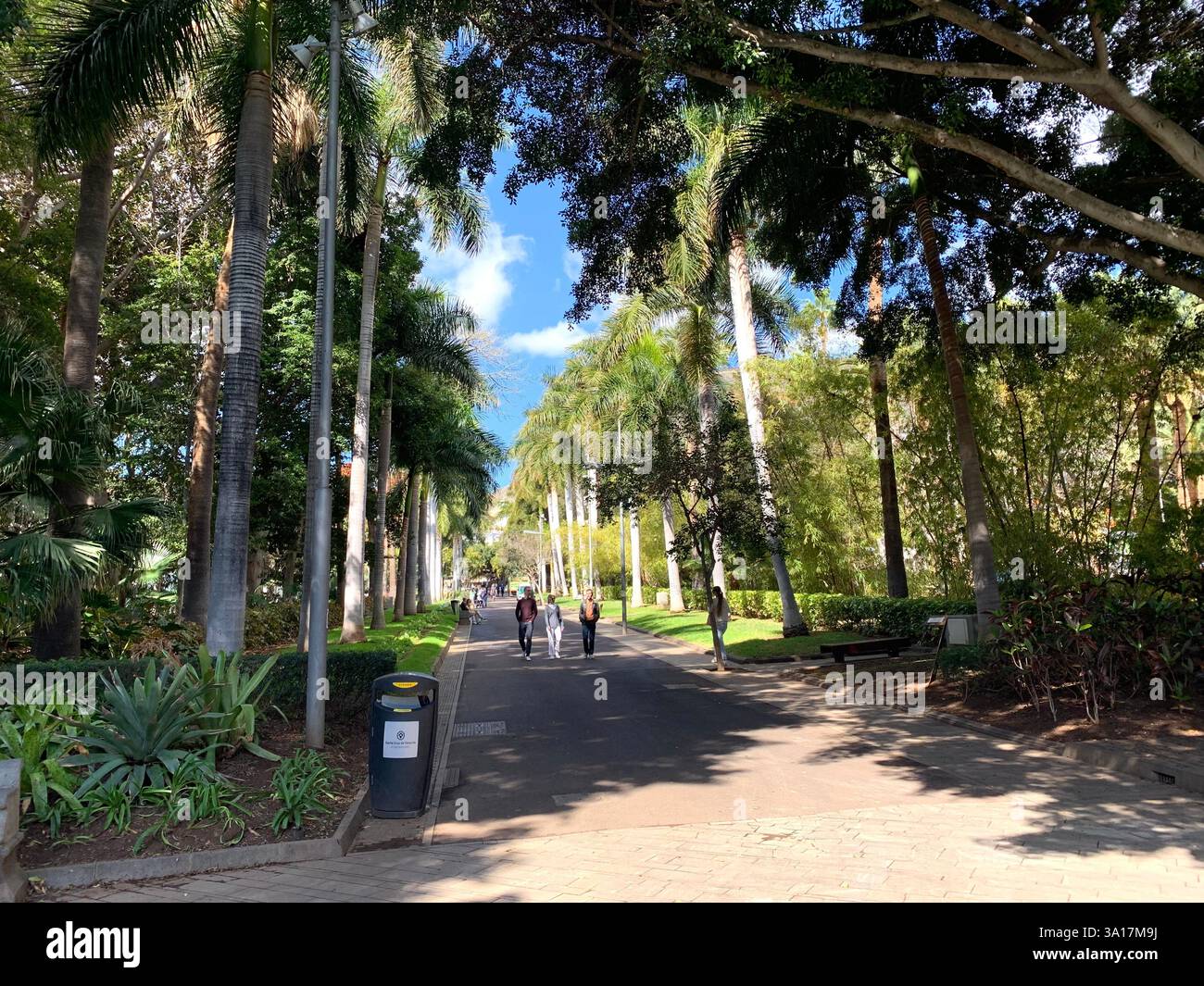 Park in Tenerife Canary Island Islands Spain Cacti plants big trees Palm tree statue statues walk walking visit old quant life living locals people - Smartphone Captured Stock Image