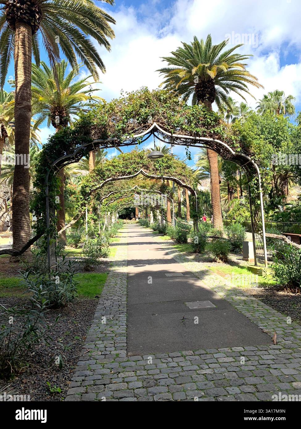 Park in Tenerife Canary Island Islands Spain Cacti plants big trees Palm tree statue statues walk walking visit old quant life living locals people - Smartphone Captured Stock Image
