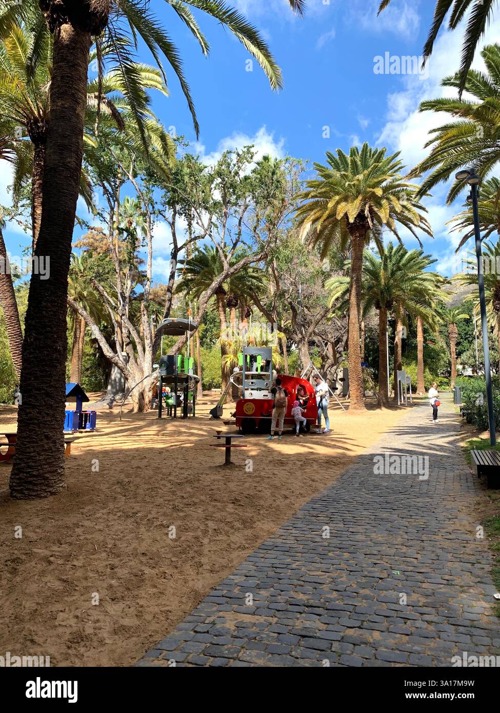 Park in Tenerife Canary Island Islands Spain Cacti plants big trees Palm tree statue statues walk walking visit old quant life living locals people - Smartphone Captured Stock Image