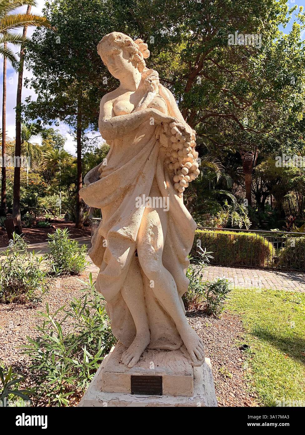 Park in Tenerife Canary Island Islands Spain Cacti plants big trees Palm tree statue statues walk walking visit old quant life living locals people - Smartphone Captured Stock Image