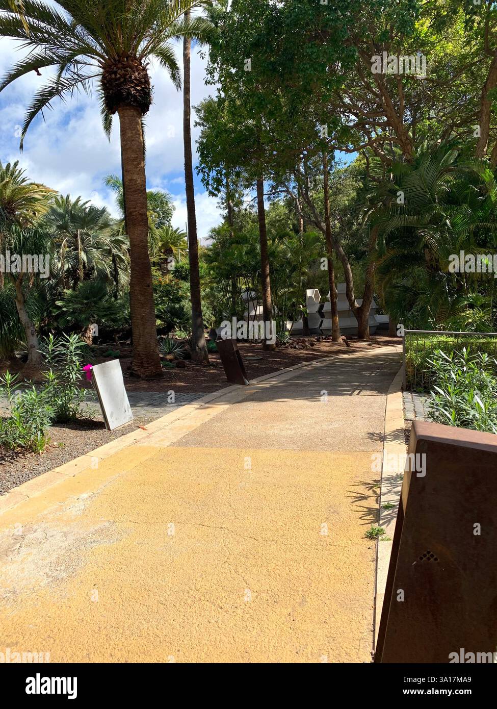 Park in Tenerife Canary Island Islands Spain Cacti plants big trees Palm tree statue statues walk walking visit old quant life living locals people - Smartphone Captured Stock Image