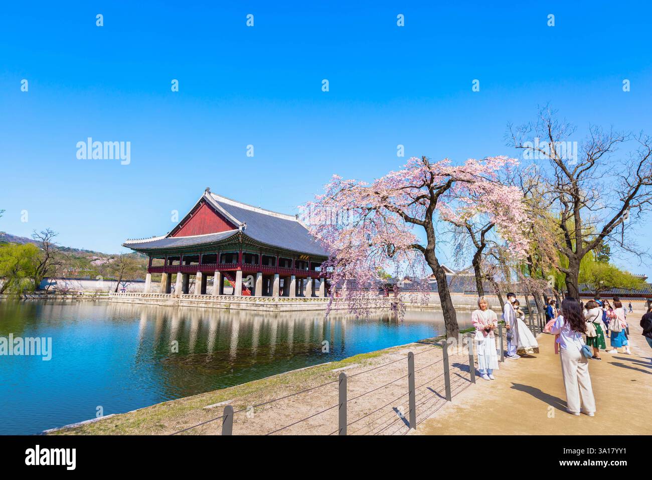 gyeongbokgung-palace-with-cherry-blossom-tree-in-spring-time-in-seoul