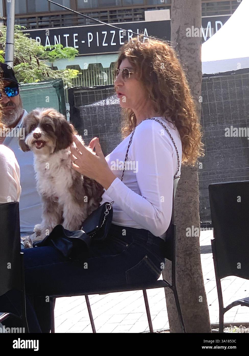 Lady with a dog on her nee long hair brown restaurant food watching watch female hot sunny Tenerife  talk talking outside hot sunny weather Canary - Smartphone Captured Stock Image