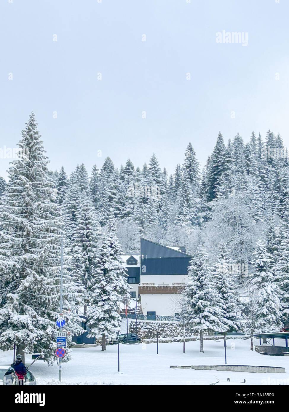 A hotel nestled in a snowy forest, surrounded by tall trees and snow-covered landscapes, offering a cozy and serene retreat for winter enthusiasts - Smartphone Captured Stock Image