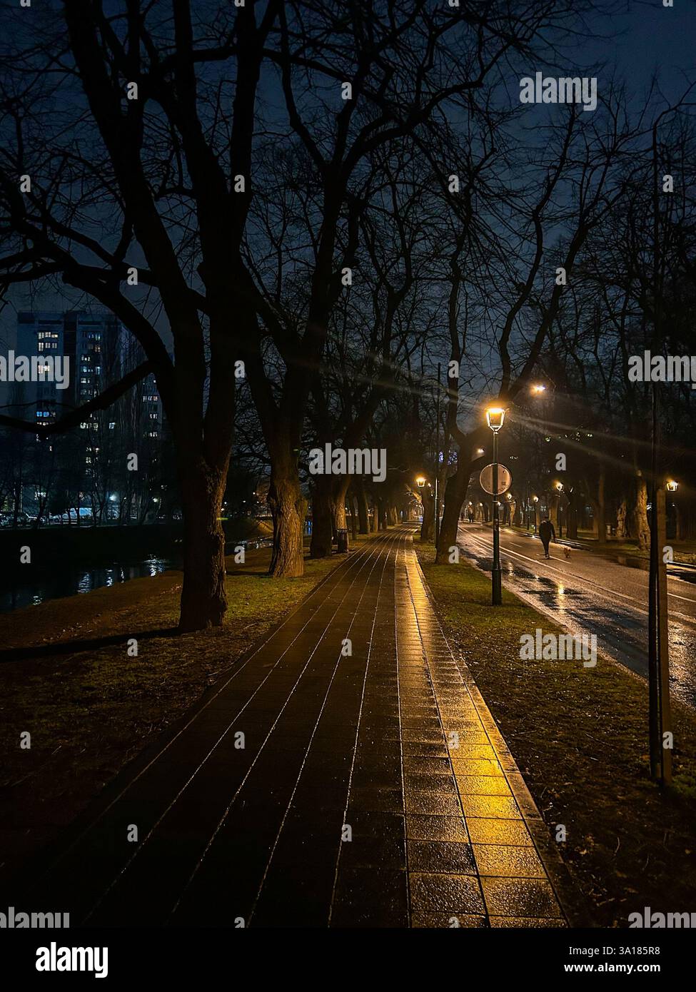 A picturesque promenade in Sarajevo, illuminated by streetlights, reflects the rainwater on the pavement - Smartphone Captured Stock Image