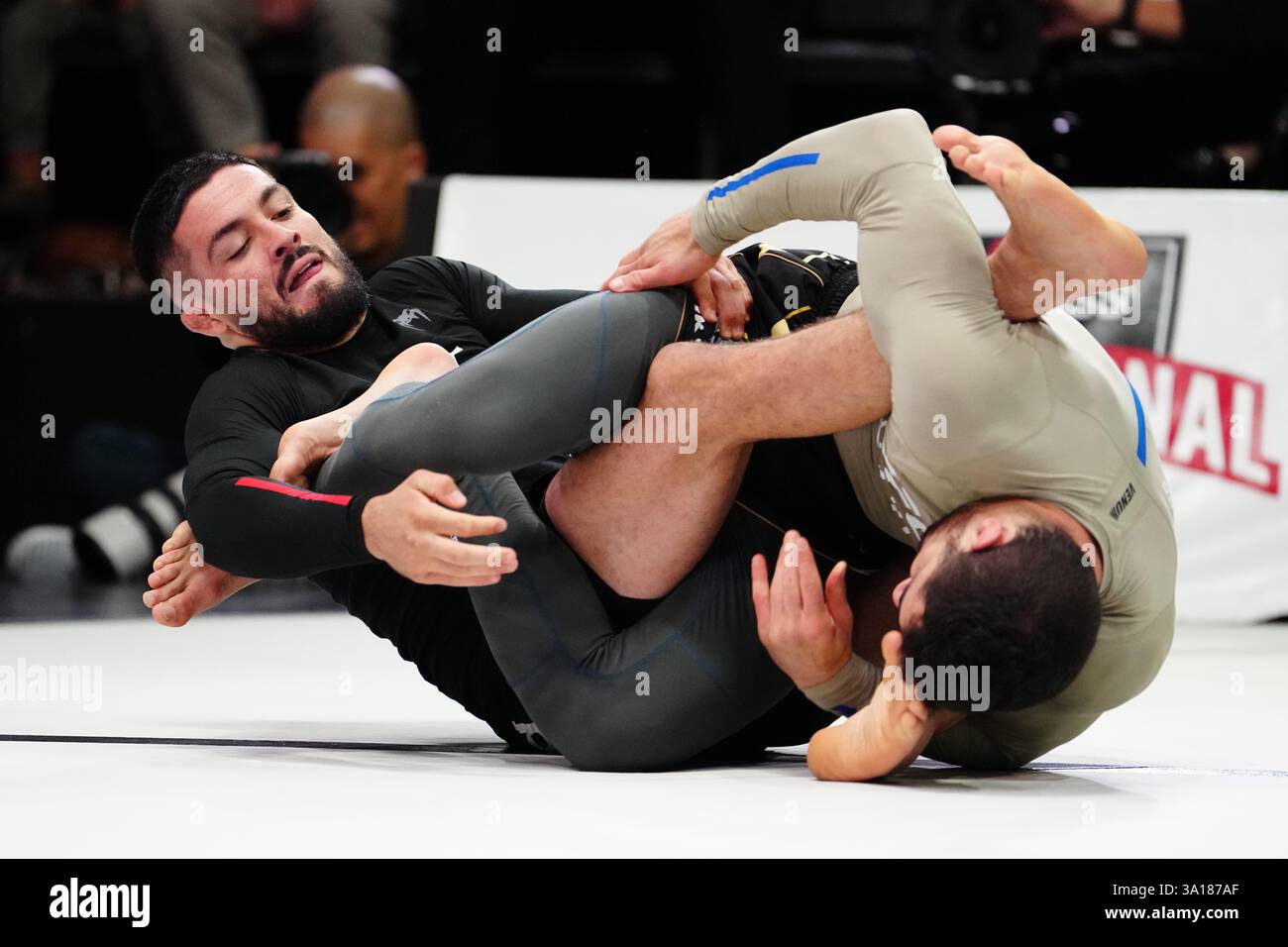 10 on hi-res stock photography and images - Page 42 - Alamy
