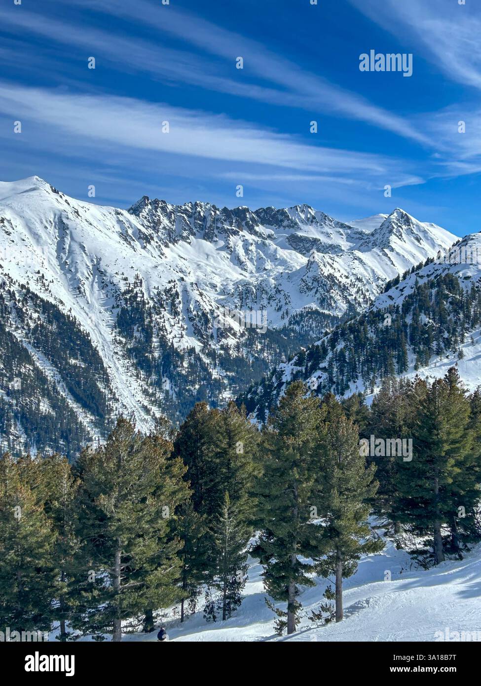 Majestic mountain peaks rise above a lush green forest, creating a ...