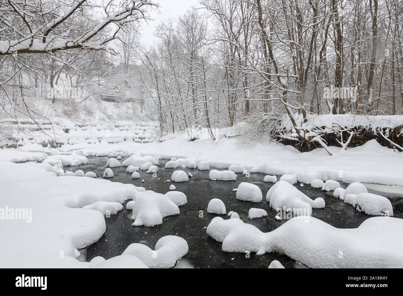 Large rocks covered in thick snow sit in a flowing creek, creating a ...
