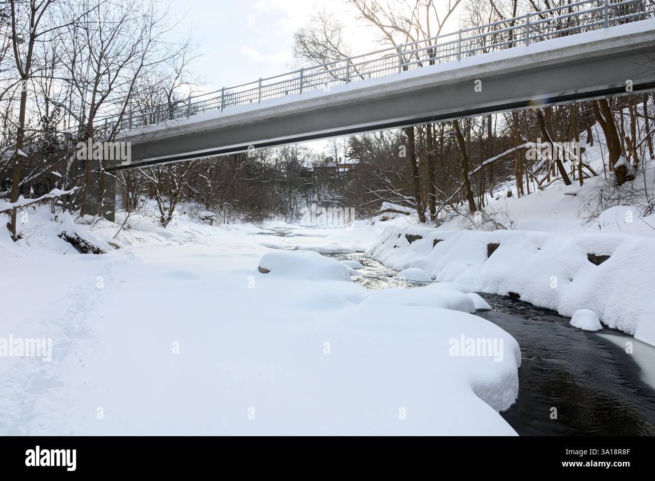 A small creek flows through a snowy forest, with snow-covered rocks and ...